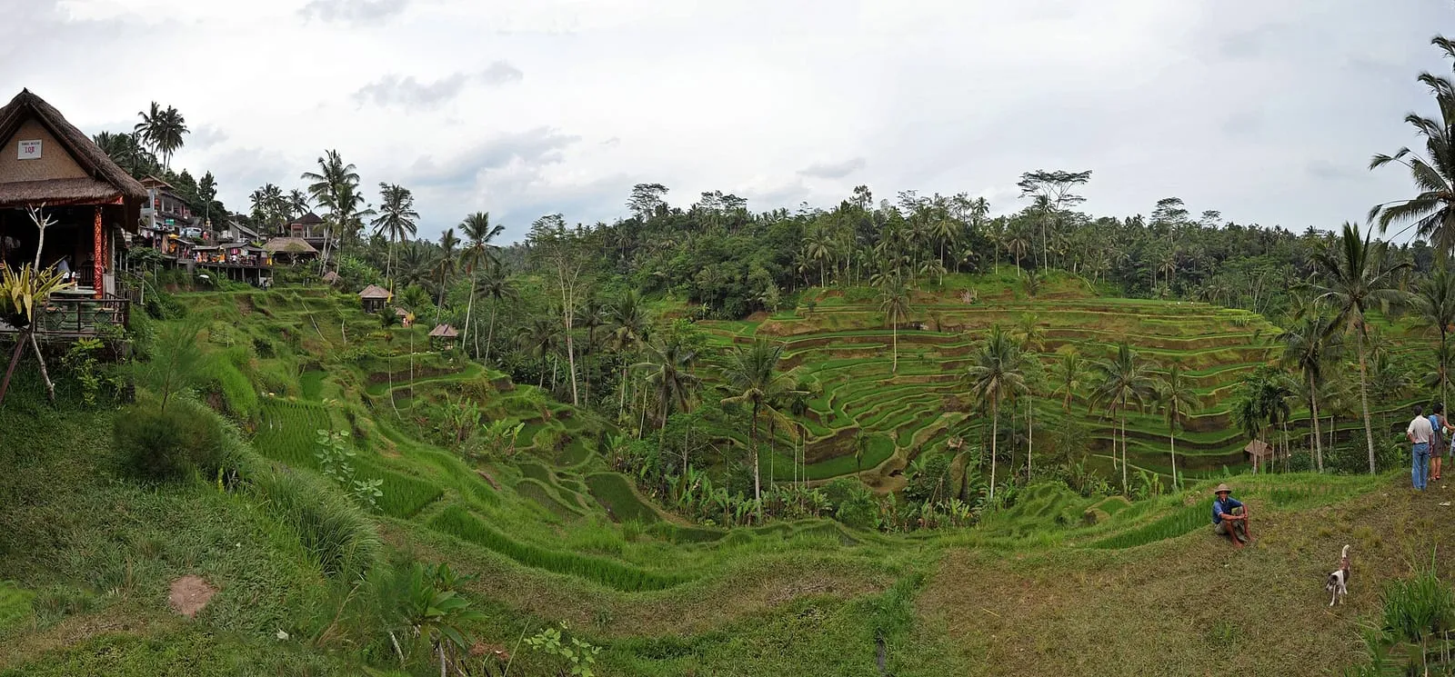 Tegalalang rice terraces near Ubud, Bali