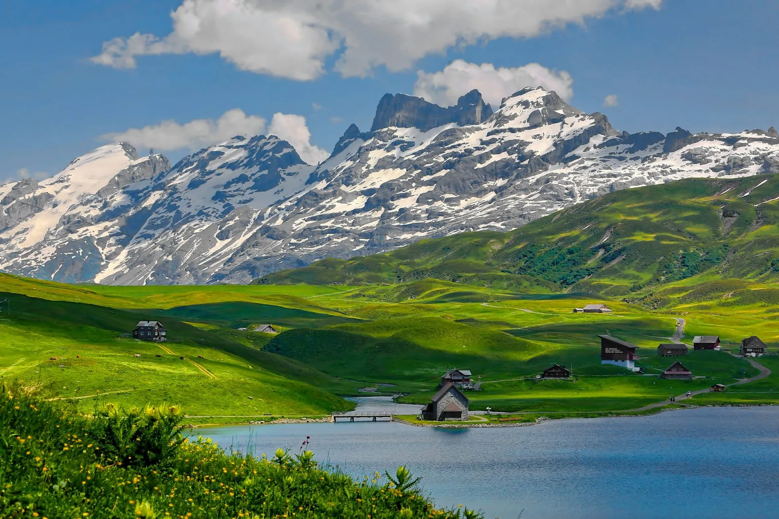 Snow-capped Swiss Alps above a green valley