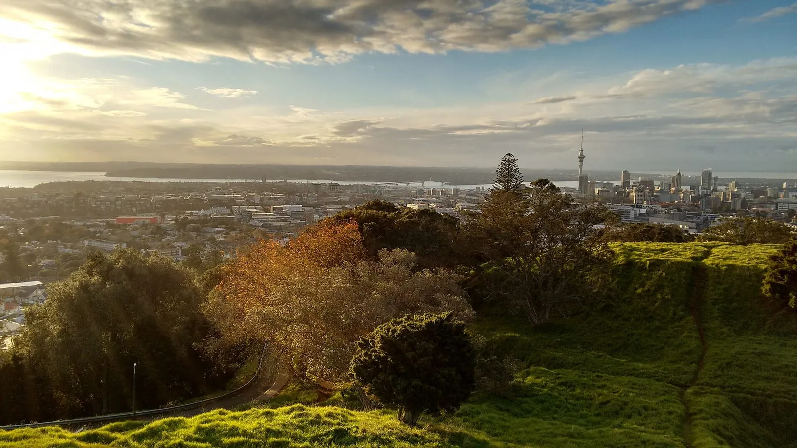 Auckland, New Zealand, seen from a hillside with the Sky Tower and city skyline in the distance