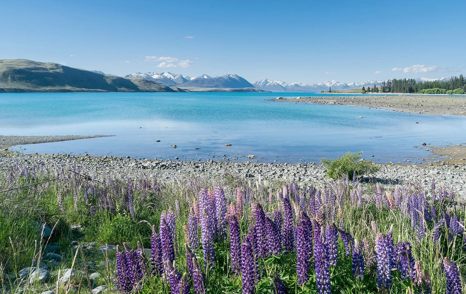 Lake Tekapo, New Zealand, with turquoise water and the Southern Alps behind